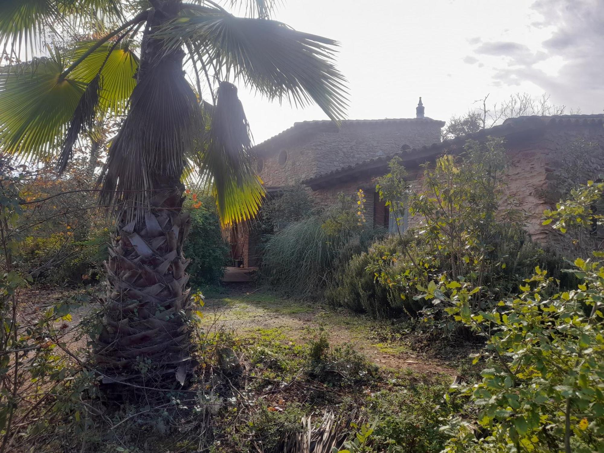 Hostal Casas el Alamillo- el Castañero Galaroza Exterior foto